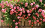 خوش آمدید 2