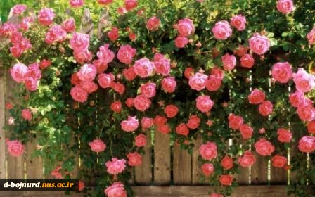 خوش آمدید 2