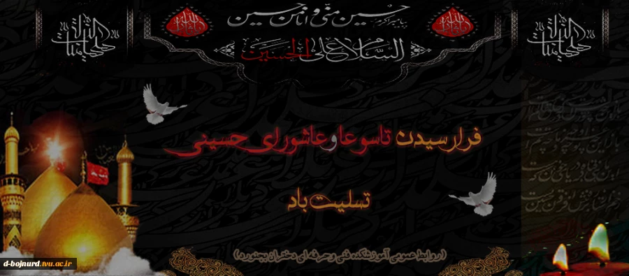 یا ابا عبدالله الحسین(ع) 2