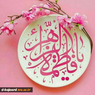 پیام تبریک رئیس دانشگاه فنی و حرفه ای خراسان شمالی به مناسبت فرا رسیدن میلاد با سعادت حضرت زهرا(س) و روز مادر و زن